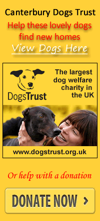 the dogs trust Canterbury advert at kent dog behaviour trainiing